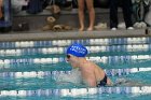 Women's Swimming & Diving  Wheaton College Women’s Swimming & Diving vs Mount Holyoke College. - Photo by Keith Nordstrom : Wheaton, Swimming & Diving